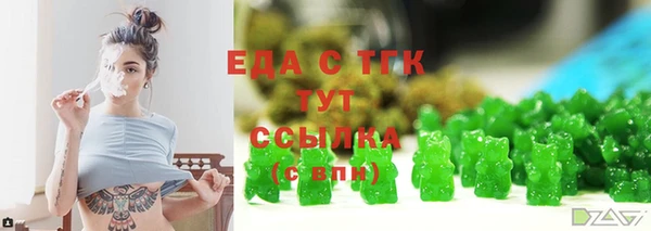 ECSTASY Горняк