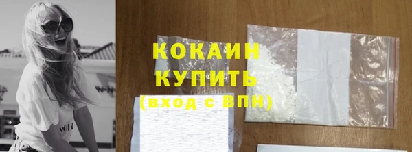ECSTASY Горняк
