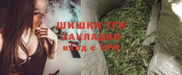 ECSTASY Горняк