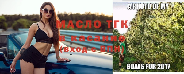 ECSTASY Горняк