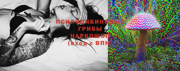 ECSTASY Горняк