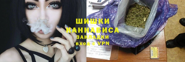 ECSTASY Горняк