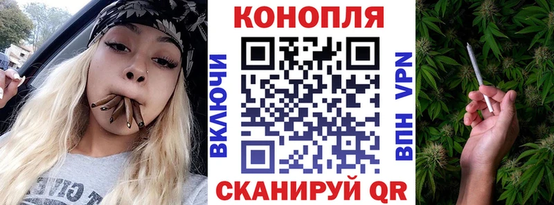 Купить закладки  Владимир  Бошки марихуана Amnesia 